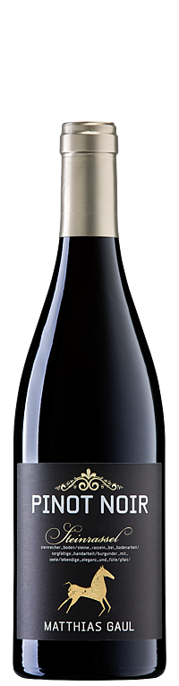 Pinot Noir Steinrassel (0,75 Liter), Terroirweine